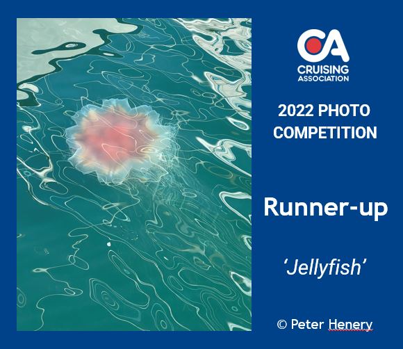 Jellyfish, Kerrera Marina, Scotland
