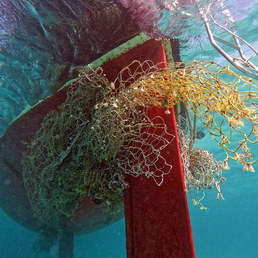 Lobster Pot Campaign