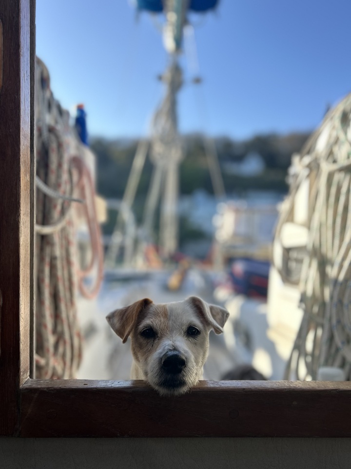 CA 2025 Photo competition special mention: Andrew Thompson