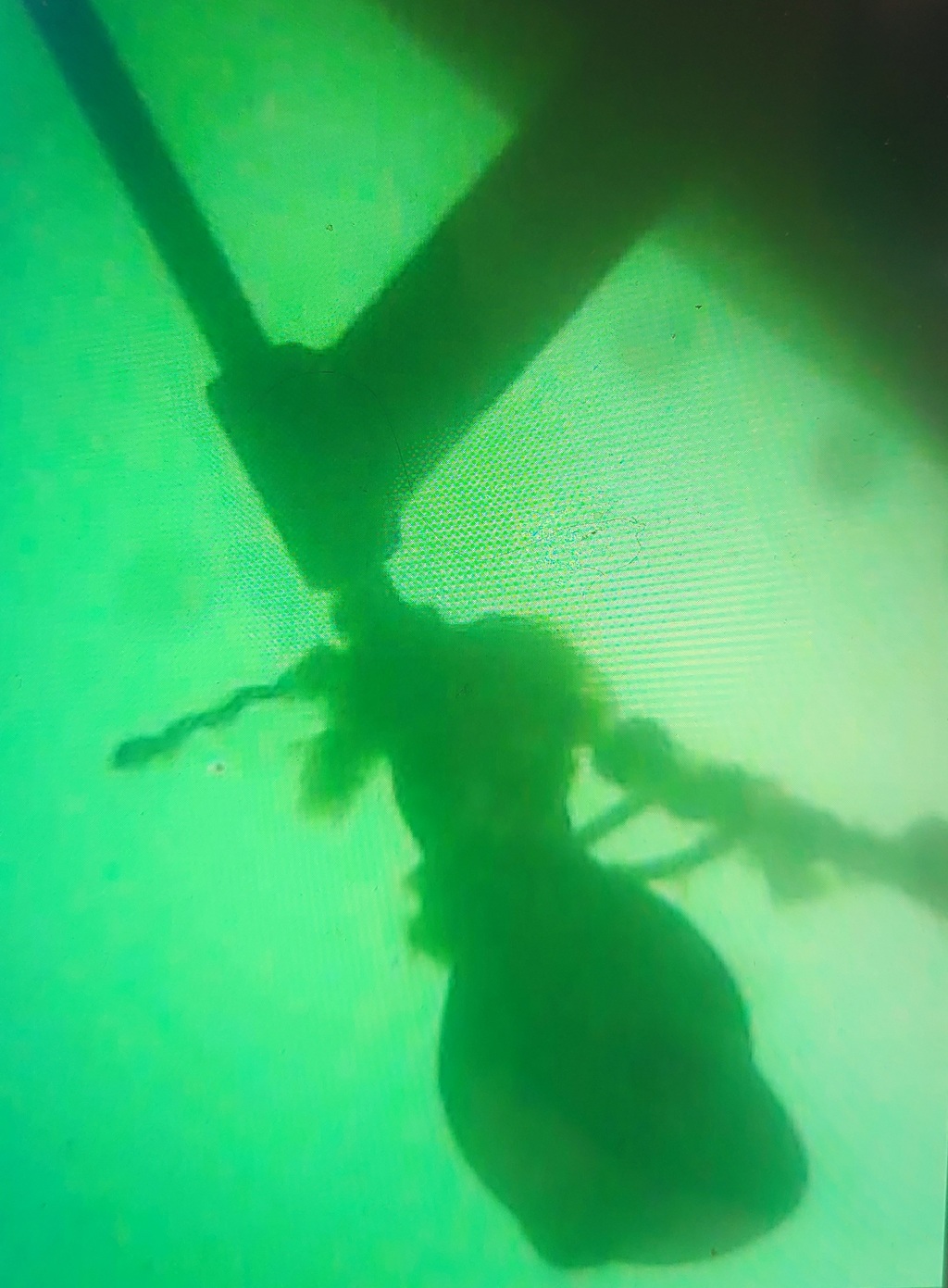 The Versluis' Westerly Oceanranger lifted out with the buoy and rope still around their propeller underwater view