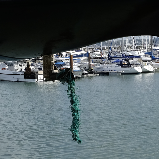 CA Lobster Pot Campaign