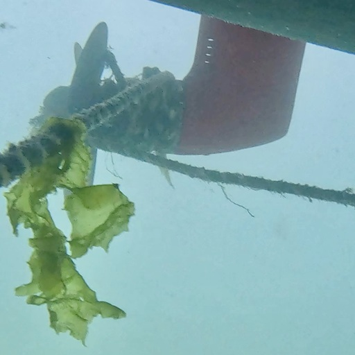 CA Lobster Pot Campaign