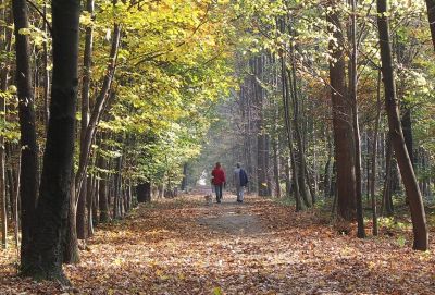 Chess Valley walk